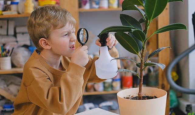 Çocuk Odasında Yetiştirilebilecek 10 Sevimli Bitki