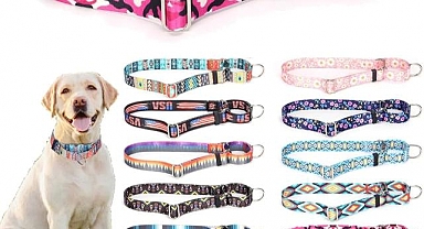 Köpekler için Özel Tasarımlı Tasmalar ile Evcil Hayvanınızın Adını Yazdırın