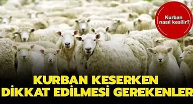 Kurbanlık Hayvan Nasıl Seçilir?