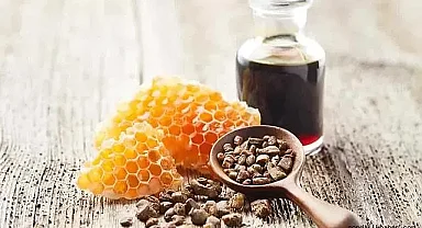 Propolis'in Sağlık İçin Yenileyici Etkileri