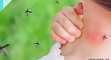 Sivrisinek Isırığı için Doğal ve Etkili Çözümler