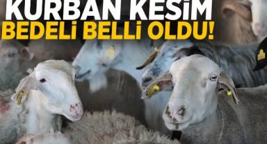 2025 Kurban Kesim Bedeli Ne Kadar? Yurt İçi ve Gazze İçin Vekaletle Kurban Kesim Fiyatları Açıklandı