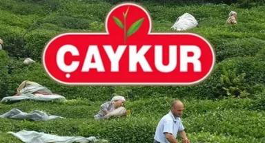 ÇAYKUR 1.500 İşçi Alımı Başvuruları Başlıyor! İşte Başvuru Şartları ve Detaylar