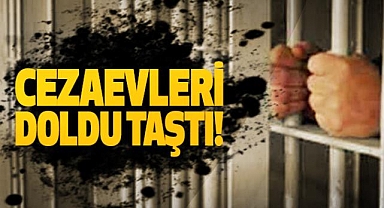 Türkiye Cezaevlerinde Alarm: Kapasite Taştı, Mahkum Profili Değişiyor!