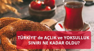 Açlık ve Yoksulluk Sınırı Ne Kadar Oldu? Yoksulluk Derinleşiyor