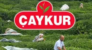 ÇAYKUR Kura Listesi 2025 Yayınlandı mı? Nihai Kura Listesi