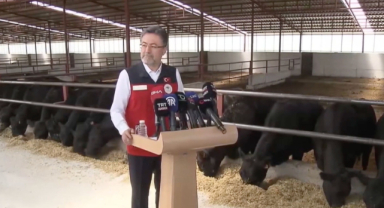 Kırsalda Bereket Hayvancılığa Destek Projesi Sonuçları Açıklandı: İşte Teslimat ve Ödeme Süreci