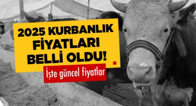 Kurbanlık Fiyatları 2025: Küçükbaş ve Büyükbaş Kurbanlıklar Ne Kadar? Hisse Fiyatları Belli Oldu