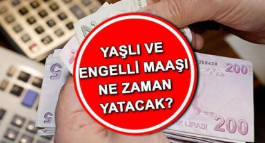 Engelli maaşı bayramdan önce yatar mı? Cumhurbaşkanı Erdoğan ödeme tarihini duyurdu!
