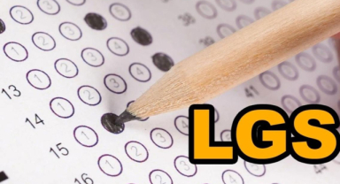 LGS 2025 Sınav Sonuçları Açıklandı: 719 Öğrenci Tüm Soruları Doğru Yanıtladı