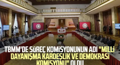 Milli Dayanışma Komisyonu Kuruldu: Silah Bırakma Kararı Sonrası Meclis’te Yeni Dönem Başladı